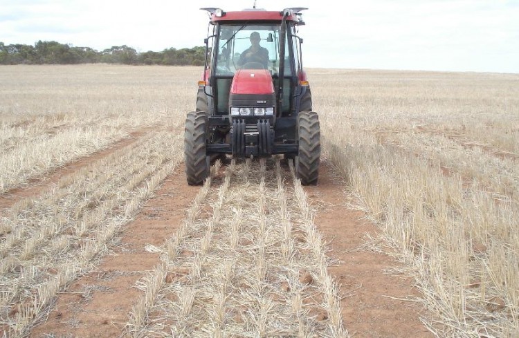 Sowing Into Stubble Plots 750x489