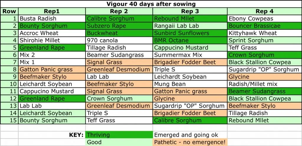 Summer Cover Crop Species Demonstration 2 1024x496