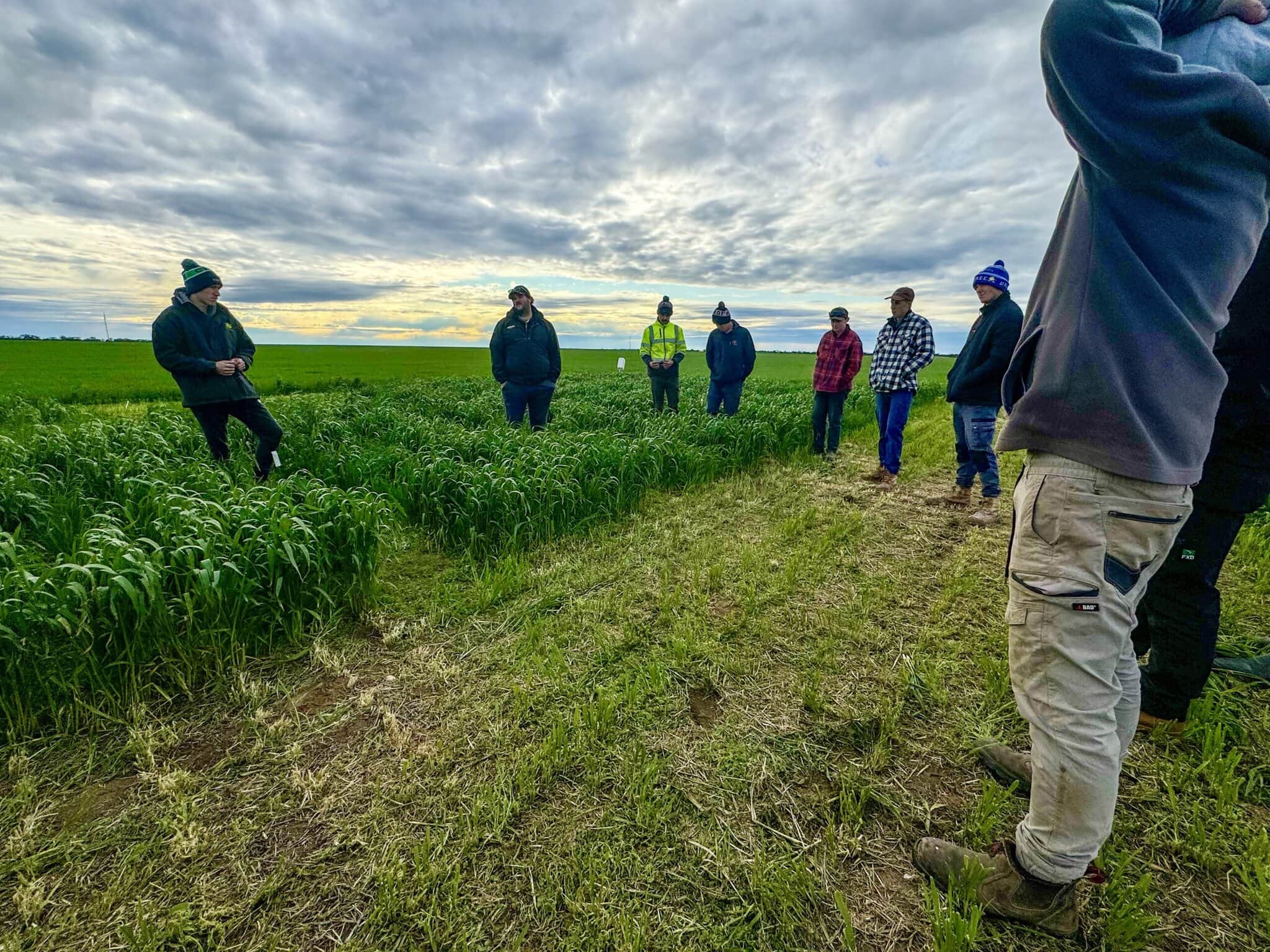 In season check in August 2024