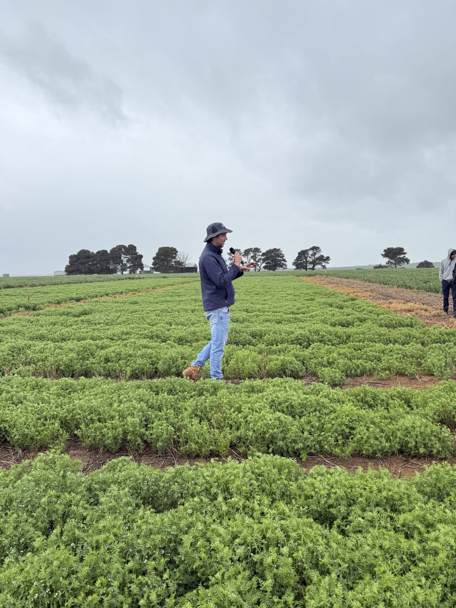 Jake Presenting At The Wangary Lentil Trial Site 2025